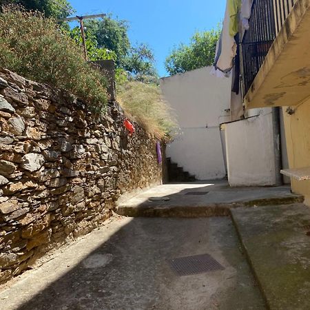 Bel Appartement A 3 Minutes De La Plage Bastia  Eksteriør billede